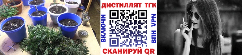 ТГК жижа  купить  сайты  Ивангород 